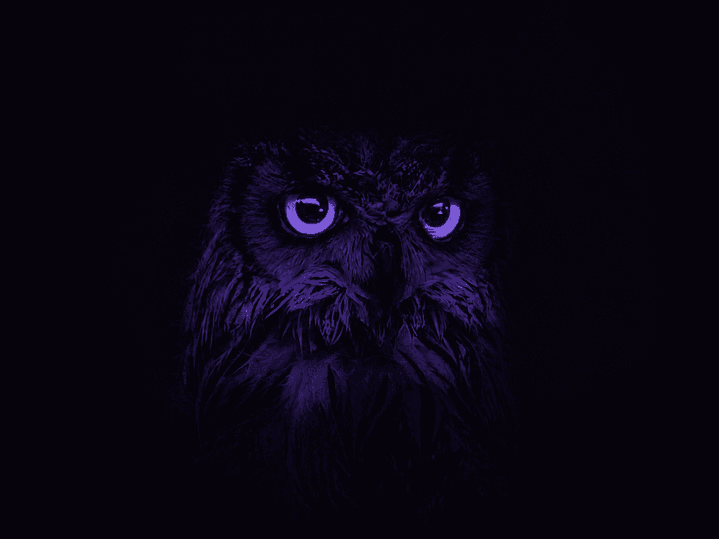 Haya owl